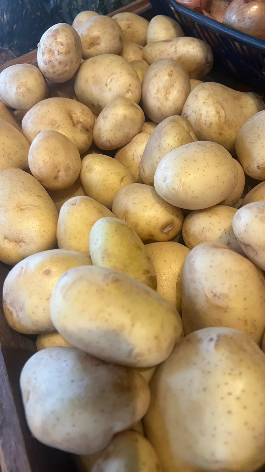 Batata inglesa branca