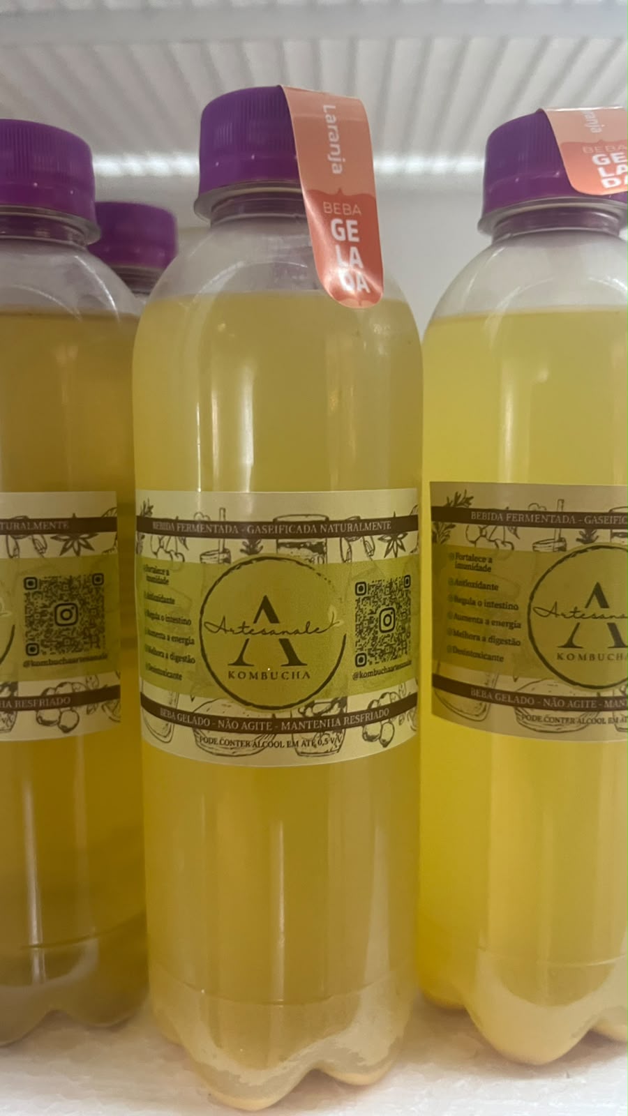 Kombucha