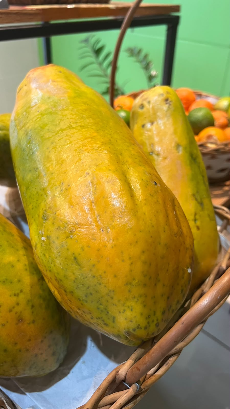Mamão formosa